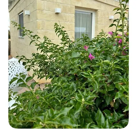 Santo Stefano Pensjonat Monopoli