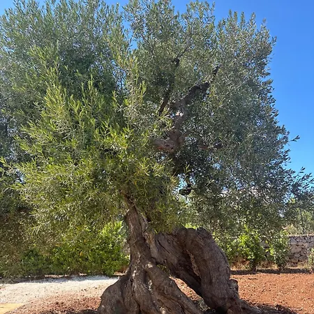 Pensión Santo Stefano