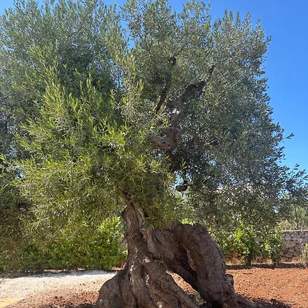 Santo Stefano Monopoli
